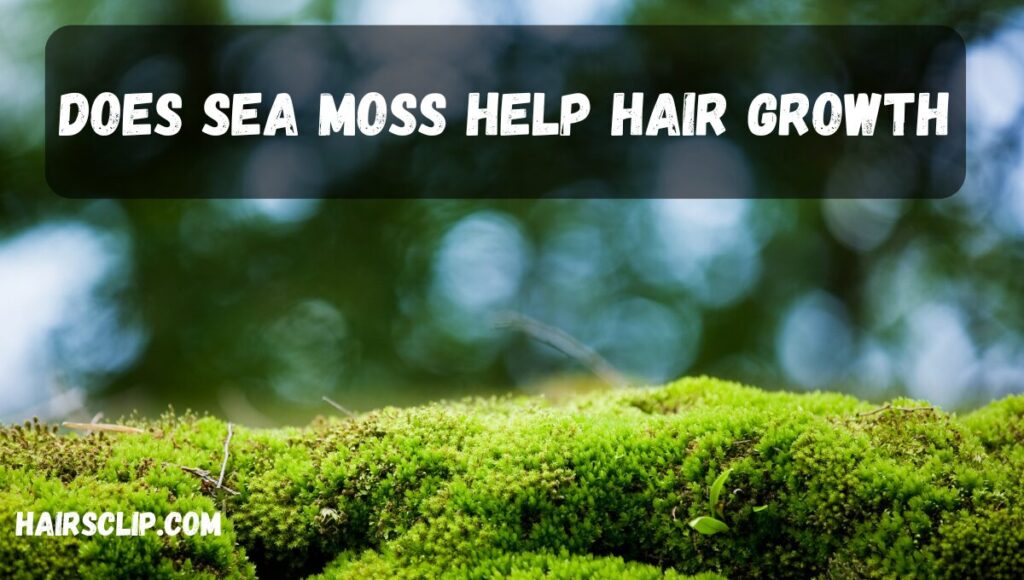 Does sea moss help hair growth