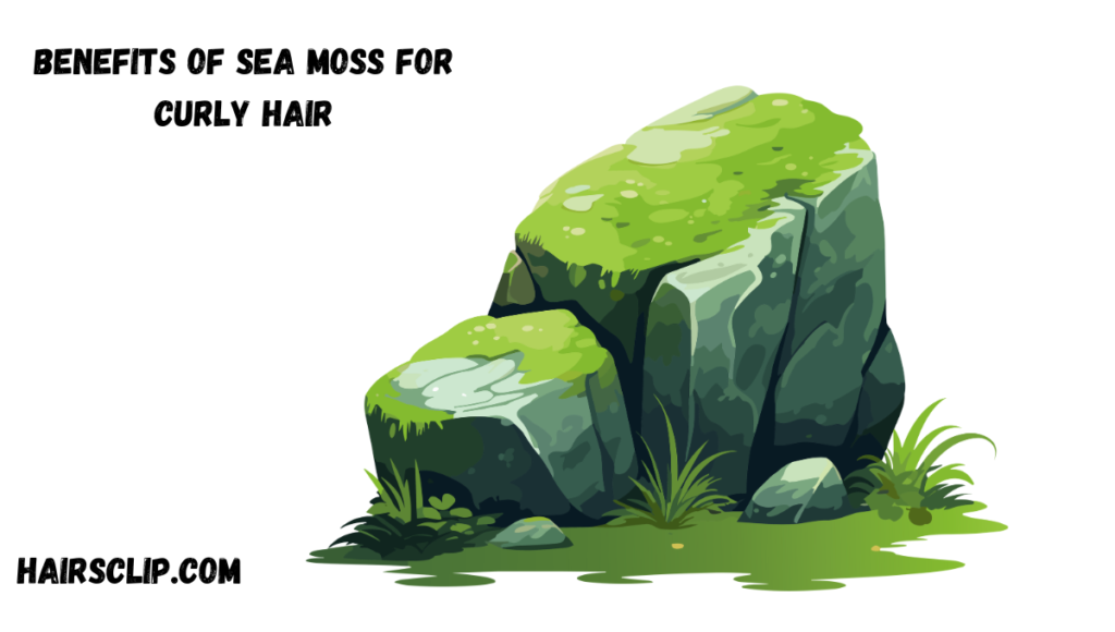 Does sea moss help hair growth