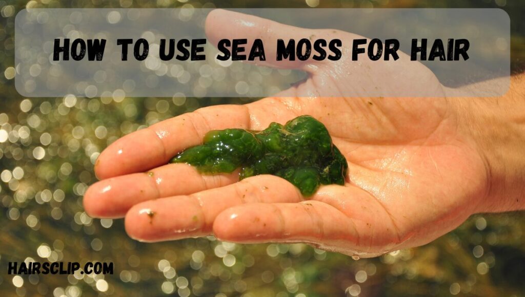 Does sea moss help hair growth