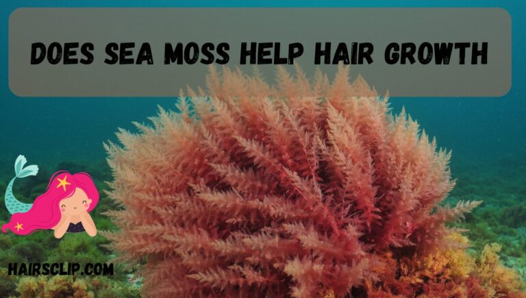 Does sea moss help hair growth – Miracle or Myth?